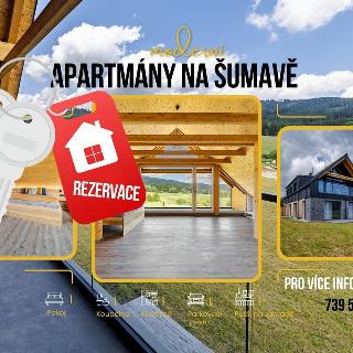 Prodej bytu 1+kk a garsoniéry 79 m² Volary, 