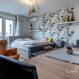 Prodej bytu 1+kk a garsoniéry 38 m² Brno, Souběžná