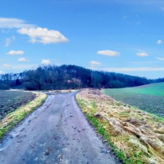 Prodej louky 6 886 m² Snědovice