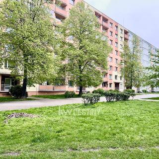 Prodej bytu 1+1 35 m² Bílina, Sídliště Za Chlumem