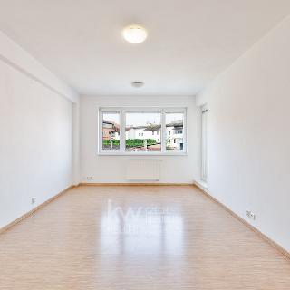 Pronájem bytu 1+kk a garsoniéry 36 m² Tábor, Nerudova