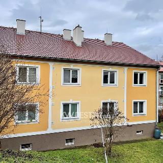 Pronájem bytu 1+1 28 m² Bílina, Sídliště SHD