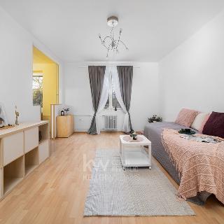 Prodej bytu 2+1 51 m² Praha, Trenčínská