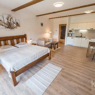 Prodej bytu 1+kk a garsoniéry 46 m² Lipno nad Vltavou, 