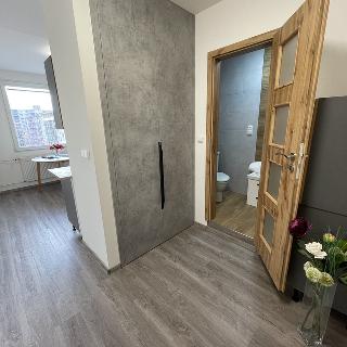 Pronájem bytu 2+kk 40 m² Plzeň, Tachovská