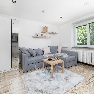 Pronájem bytu 1+1 35 m² Kladno, Kyjevská