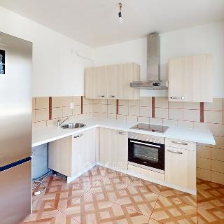 Pronájem bytu 4+1 78 m² Litvínov, Luční