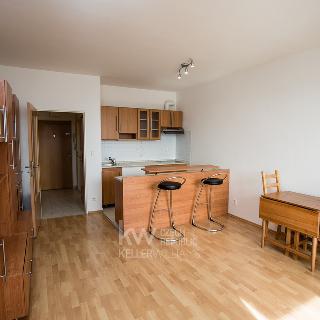 Prodej bytu 1+kk a garsoniéry 40 m² Roztoky, Najdrova