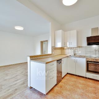 Pronájem bytu 3+1 85 m² Tábor, nám. F. Křižíka