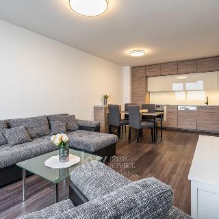 Pronájem bytu 3+kk 65 m² Praha, Levského