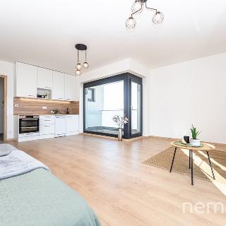 Pronájem bytu 1+kk a garsoniéry 38 m² Praha, Pekařova