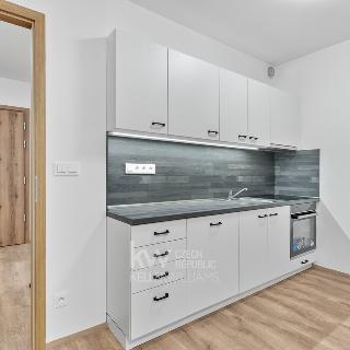 Pronájem bytu 2+kk 65 m² Liberec, Švermova