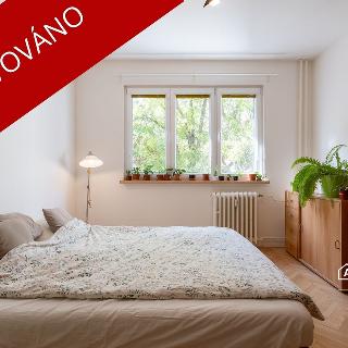 Prodej bytu 2+1 52 m² Praha, Maříkova