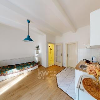 Pronájem bytu 1+kk a garsoniéry 31 m² Praha, Sokolovská