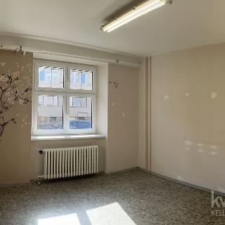 Pronájem obchodu 37 m² Český Krumlov, T. G. Masaryka