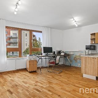 Pronájem bytu 2+kk 55 m² Praha, Mattioliho