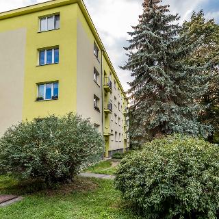 Prodej bytu 2+1 51 m² Teplice, Duchcovská