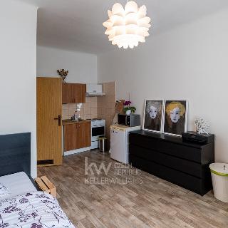 Prodej bytu 1+kk a garsoniéry 27 m² Plzeň, Radyňská