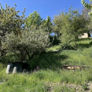 Prodej zahrady 280 m² Český Krumlov, Na Svahu