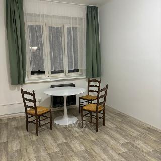 Pronájem bytu 1+kk a garsoniéry 24 m² Praha, Petra Rezka