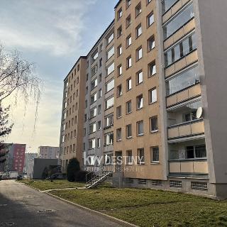 Pronájem bytu 1+1 47 m² Teplice, Arbesova