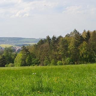 Prodej louky 12 376 m² Stříbrná Skalice, osada Na Hradcích