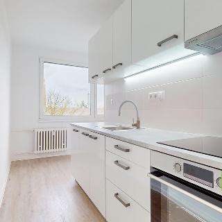 Prodej bytu 2+1 56 m² Veselí nad Lužnicí, K Zastávce