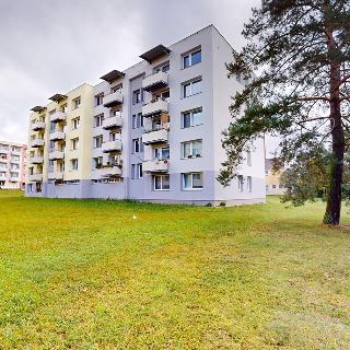 Pronájem bytu 2+1 63 m² Veselí nad Lužnicí, K Zastávce