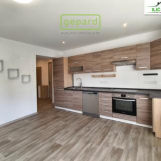 Pronájem bytu 2+kk 50 m² Přehýšov, 