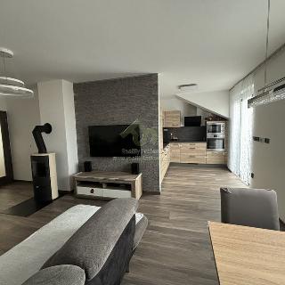 Prodej bytu 3+kk 96 m² Město Touškov, Platanová