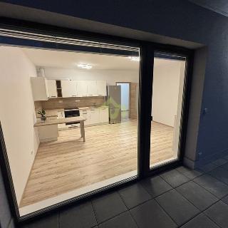 Pronájem bytu 2+kk 69 m² Plzeň, Rubínová