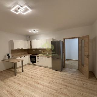 Pronájem bytu 2+kk 69 m² Plzeň