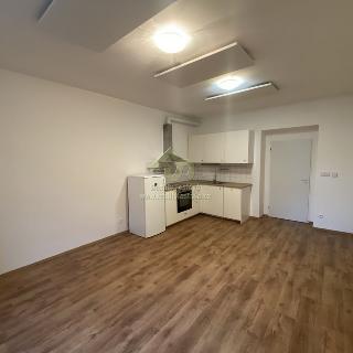 Pronájem bytu 2+kk 53 m² Plzeň, Pod Záhorskem