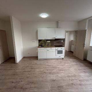 Pronájem bytu 1+kk a garsoniéry 44 m² Radnice, náměstí Kašpara Šternberka