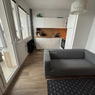 Pronájem bytu 1+1 32 m² Plzeň, U Borského parku