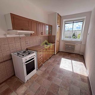 Pronájem bytu 1+1 49 m&sup2; Plzeň