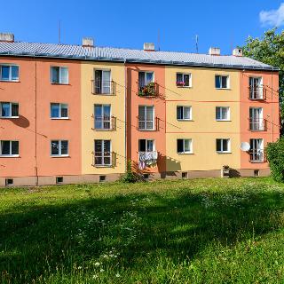 Prodej bytu 3+1 64 m² Horní Slavkov, Zahradní