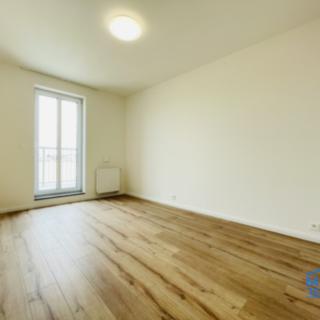 Pronájem bytu 2+kk 40 m² Plzeň Jižní Předměstí, Kotkova