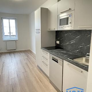 Pronájem bytu 2+kk 48 m² Plzeň, Kotkova