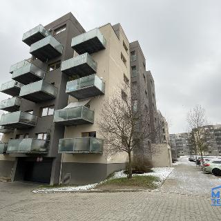 Pronájem bytu 2+kk 50 m² Plzeň, U Velkého rybníka