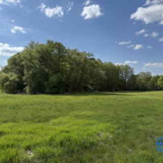Prodej stavební parcely 3898 m² Příkosice