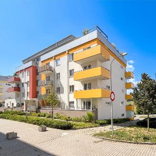 Prodej bytu 3+kk 72 m² Brno, Lišejníková