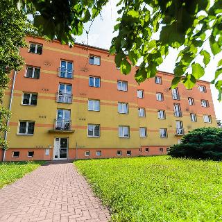 Pronájem bytu 2+1 55 m² Česká Třebová, Litomyšlská