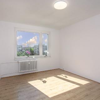 Pronájem bytu 1+1 37 m² Vysoké Mýto, Českých bratří