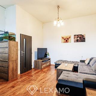 Prodej bytu 1+kk a garsoniéry 35 m² Znojmo, Na Rejdišti