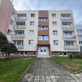 Pronájem bytu 1+1 30 m² Jemnice, U Víta