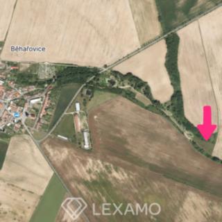 Prodej zemědělské půdy 3 575 m² Běhařovice