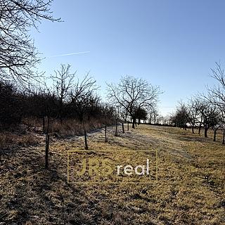 Prodej zemědělské půdy 982 m&sup2; Ostrožská Nová Ves