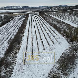 Prodej zemědělské půdy 6224 m&sup2; Sedlec