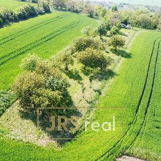 Prodej zemědělské půdy 2 000 m² Blučina, 